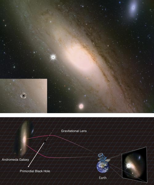 Andromeda galaxy a primordial black hole